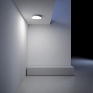 Aurora | Lamp