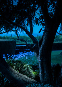 Buio-Spot | Outdoor Lighting