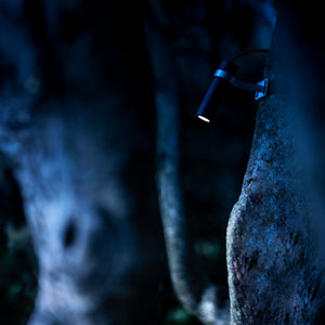 Buio-Spot | Outdoor Lighting