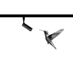 COLIBRÌ | Lighting