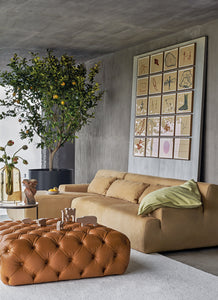 Norton | Sofa
