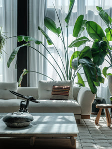 Sengu | Coffee Table