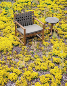 Network | Lounge chair