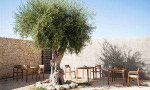 Zania | Table