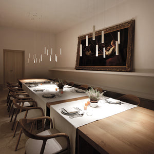 Simbiosi | Ceiling Light