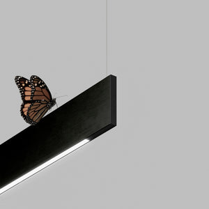 Sottile | Ceiling Light