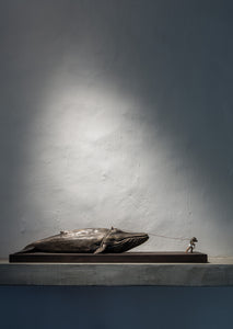 Spot | Wall or Ceiling Lamp