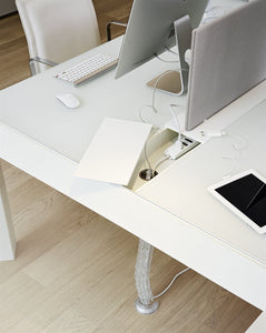 Snake | Office Accessories